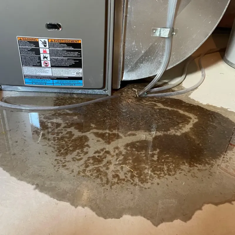 Appliance Leak Cleanup in Auburndale, FL